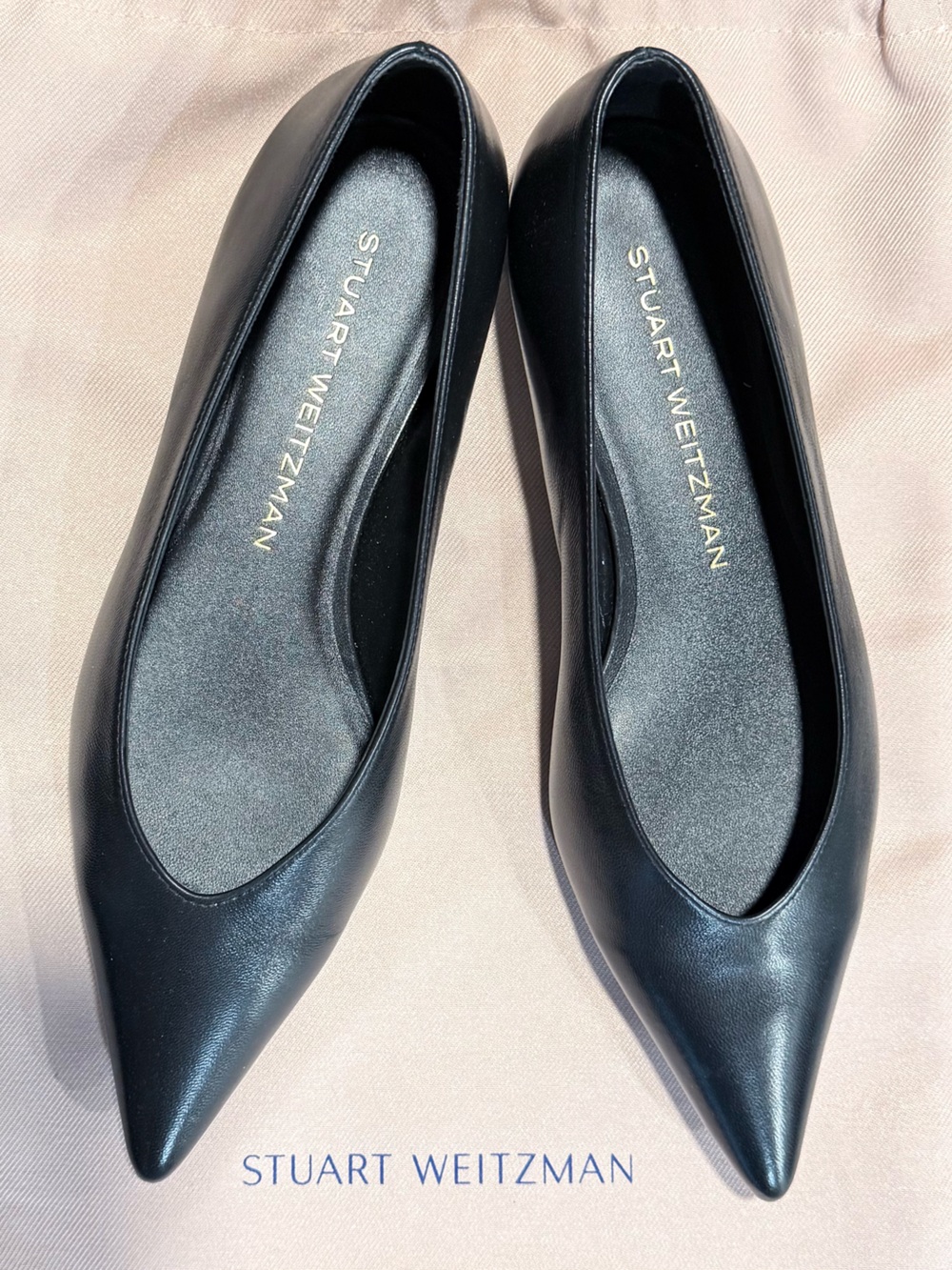 Stuart Weitzman Sleek Black Pointed Leather Heels